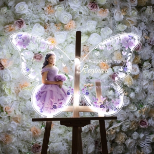 Butterfly Photo LED Welcome Sign for Quinceañera RFGBC061