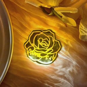 LED Glowing Mirror Rose Favors Magnets RFGT028