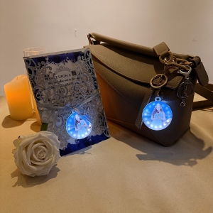 LED Round Acrylic Photo Keychains for Quincea?era RFGT033