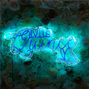 Celebrate Quinceañera with a vibrant Mis Quince neon sign RFGBC039