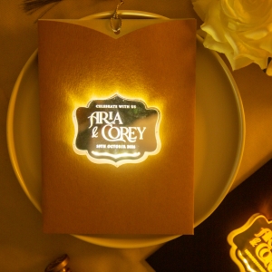 Laser Cut Panel Pocket Invitation with LED Tag RACRL066