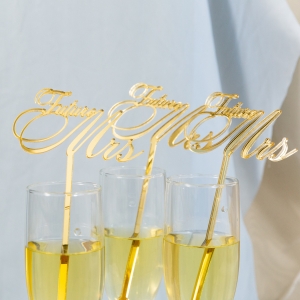 Bridal Shower Custom Drink Stirres Sticks RCNSD014
