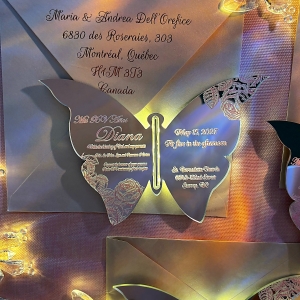 LED Butterfly Acrylic Quinceañera Invites RACRL005