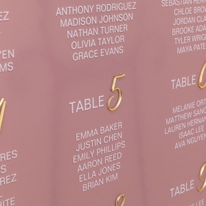 Dusty Rose Seating Chart with 3D Letters RYK099