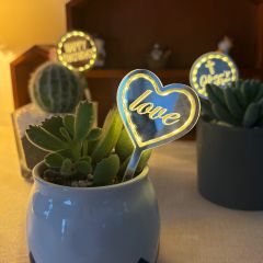 Custom LED Plant Pick - Uplifting Houseplant Gift for Her, Birthday, Housewarming, Plant Lovers FGXCT003