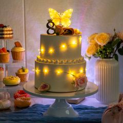 LED Butterlfy Shape Cake Topper for Birthday Party FGCT006