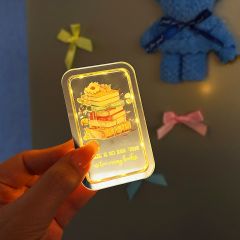Light up Magnets LED Magnets For Book Lovers FGGJ005