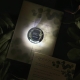 Greenery Vellum Pocket with Glowing Tag Wedding Invite RACRL019